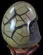Septarian Dragon Egg Geode - Black Crystals #68111-2